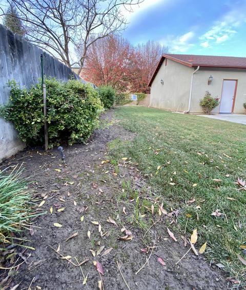 481 W Prospect Ave, Exeter, CA 93221 photo 87