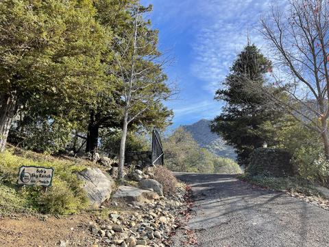 44445 Dinely Dr, Three Rivers, CA 93271 photo 45
