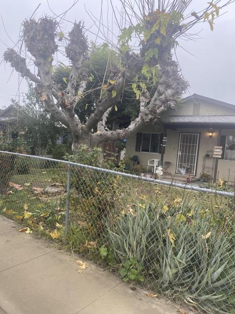 705 Lenox Ave, Exeter, CA 93221 photo 2