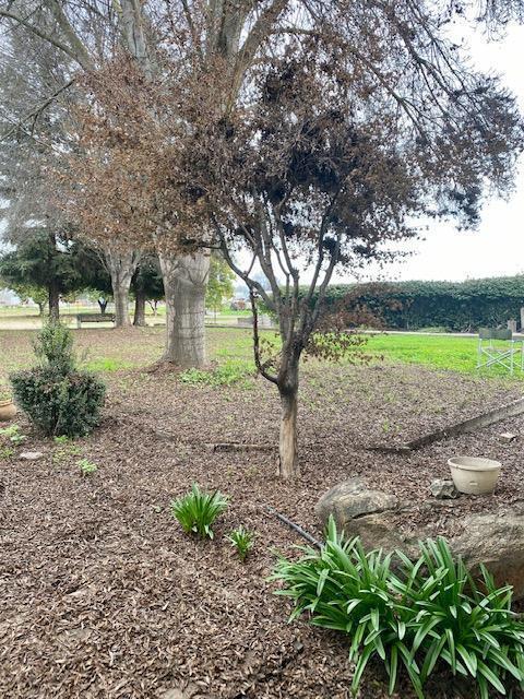 1398 N Elberta Rd, Exeter, CA 93221 photo 44