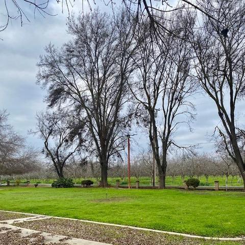 1398 N Elberta Rd, Exeter, CA 93221 photo 11