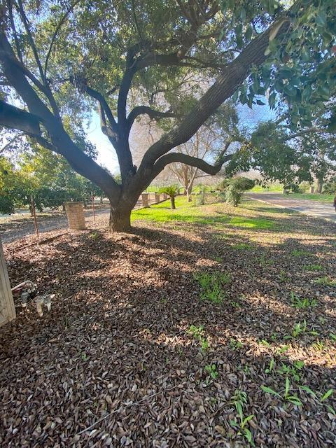 1398 N Elberta Rd, Exeter, CA 93221 photo 5