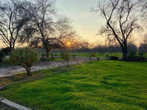 1398 N Elberta Rd, Exeter, CA 93221 photo 6