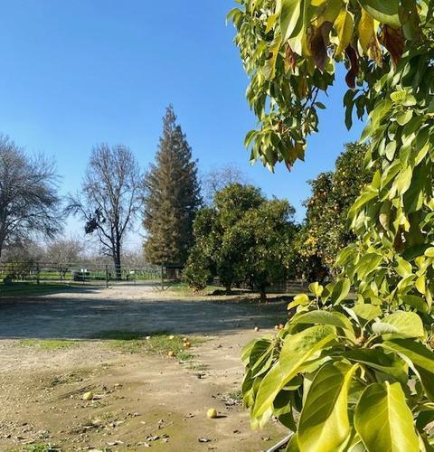 1398 N Elberta Rd, Exeter, CA 93221 photo 58