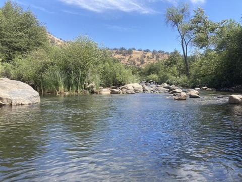 44102 Dinely Dr, Three Rivers, CA 93271 photo 29