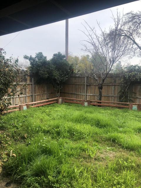 817 E Laurel Ave, Visalia, CA 93292 photo 8