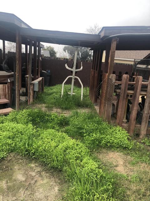 817 E Laurel Ave, Visalia, CA 93292 photo 7