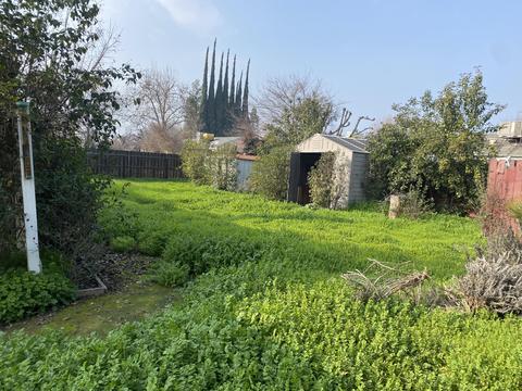 529 Crane Ave, Exeter, CA 93221 photo 17