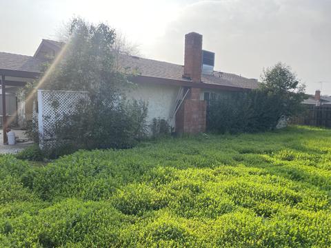 529 Crane Ave, Exeter, CA 93221 photo 18