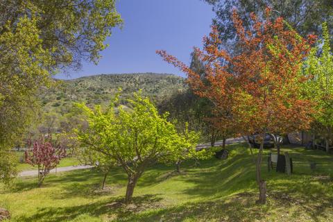 38695 Rustic Ln, Squaw Valley, CA 93675 photo 77