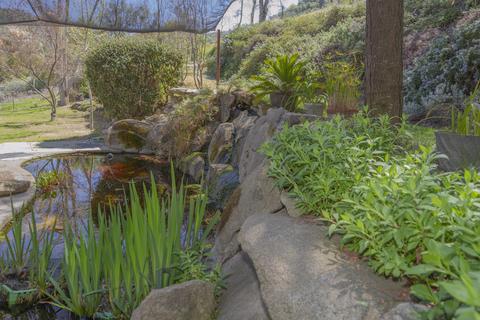 38695 Rustic Ln, Squaw Valley, CA 93675 photo 62