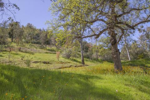 38695 Rustic Ln, Squaw Valley, CA 93675 photo 76