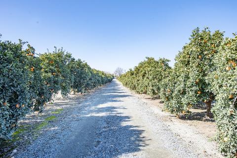 30747 Road 212, Exeter, CA 93221 photo 58