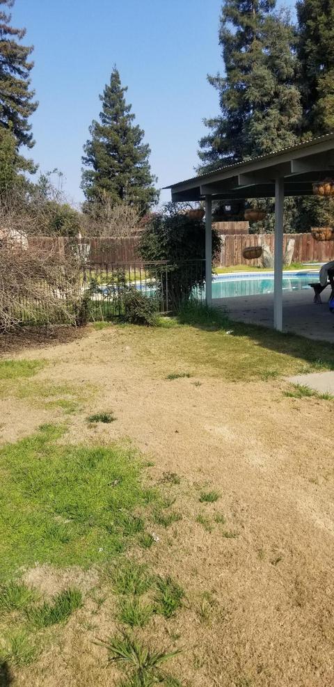 1006 E Feemster Ave, Visalia, CA 93292 photo 10