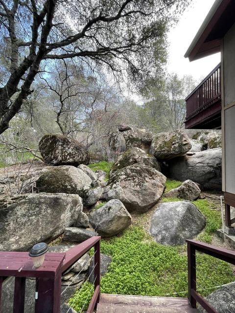 45219 Hammond Dr, Three Rivers, CA 93271 photo 22