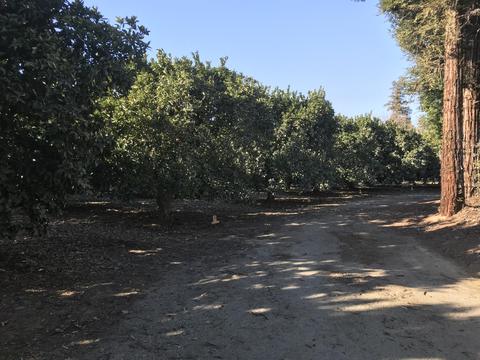 2525 N Filbert Rd, Exeter, CA 93221 photo 53