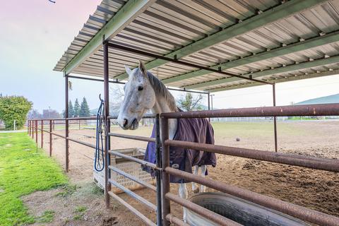 30740 Mehrten Dr, Exeter, CA 93221 photo 8