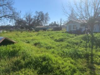 52 S Piedra Rd, Sanger, CA 93657 photo 4