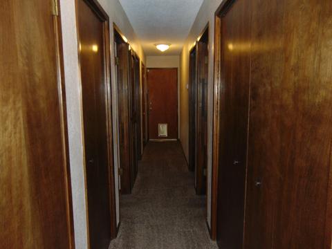 1313 E Millard Way, Dinuba, CA 93618 photo 5