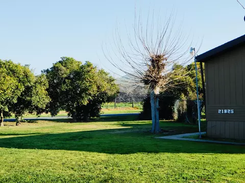 21825 Badger Hill Avenue Ave, Exeter, CA 93221 photo 3