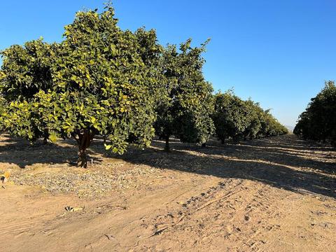 41821 Road 68, Dinuba, CA 93618 photo 2