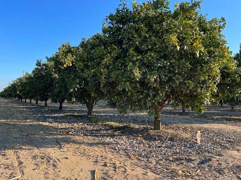 41821 Road 68, Dinuba, CA 93618 photo 1