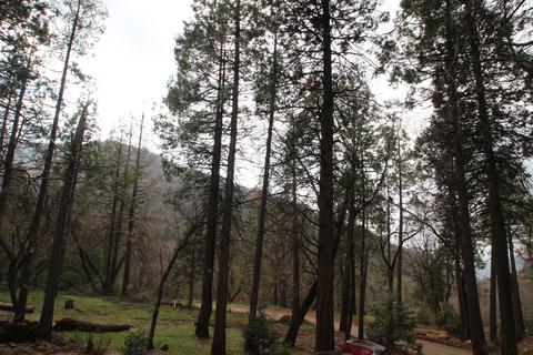 1804 Coy Flat Dr, Camp Nelson, CA 93208 photo 18