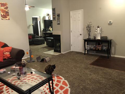 979 Robin Ct, Hanford, CA 93230 photo 14