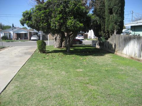 730 S Myrtle Ave, Dinuba, CA 93618 photo 8