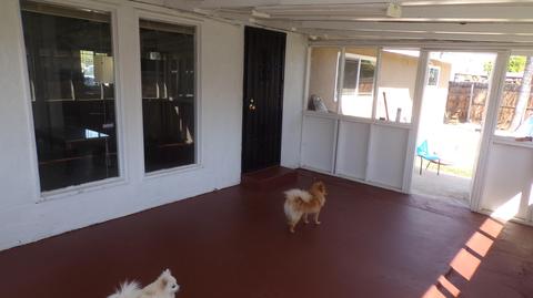 886 E North Way, Dinuba, CA 93618 photo 17