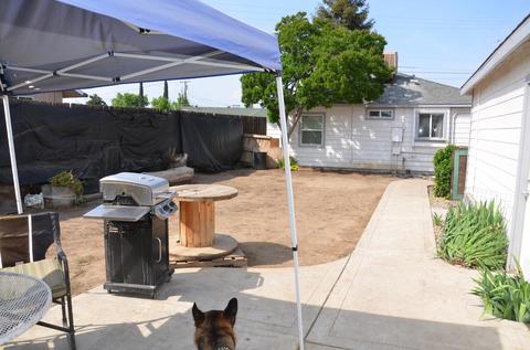 719 E Laurel Ave, Visalia, CA 93292 photo 26