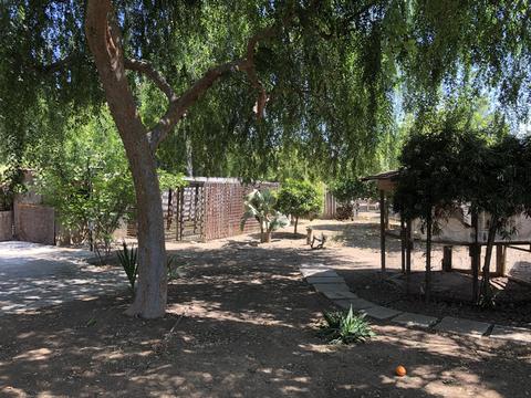 32860 Rd 156, Ivanhoe, CA 93235 photo 21