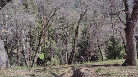1373 Bourbon Dr, Springville, CA 93265 photo 46