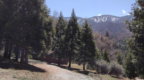 1373 Bourbon Dr, Springville, CA 93265 photo 2