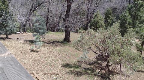 1373 Bourbon Dr, Springville, CA 93265 photo 15