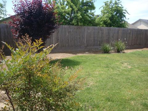 1127 E Vine Ct, Visalia, CA 93292 photo 19