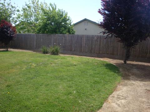1127 E Vine Ct, Visalia, CA 93292 photo 18