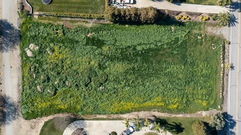 Valley View Drive, Exeter, CA 93221 photo 8