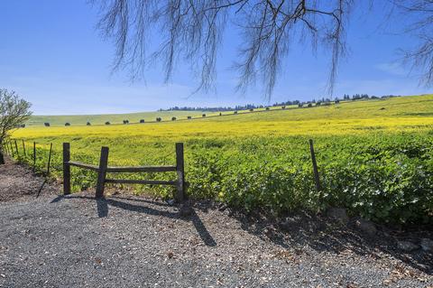 Valley View Drive, Exeter, CA 93221 photo 4