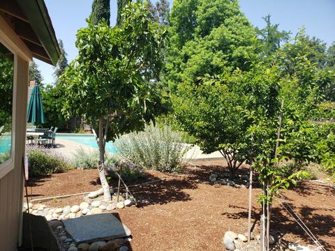 300 E La Vida Ave, Visalia, CA 93277 photo 56