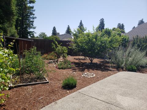 300 E La Vida Ave, Visalia, CA 93277 photo 52