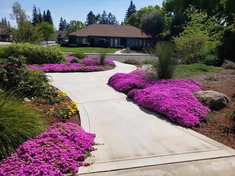 300 E La Vida Ave, Visalia, CA 93277 photo 5