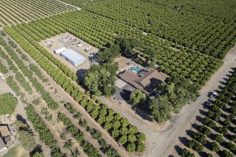 28959 Road 208, Exeter, CA 93221 photo 53