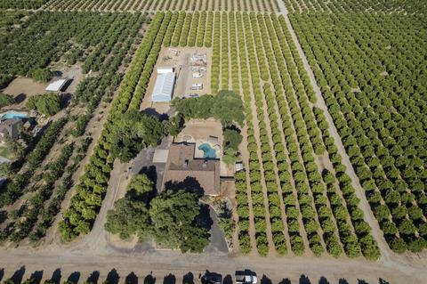 28959 Road 208, Exeter, CA 93221 photo 54