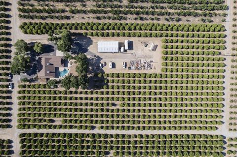 28959 Road 208, Exeter, CA 93221 photo 47