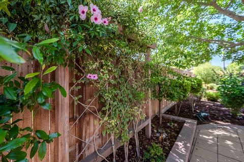821 Park Place Dr, Exeter, CA 93221 photo 73