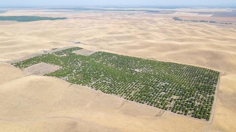 Undisclosed, Ducor, CA 93218