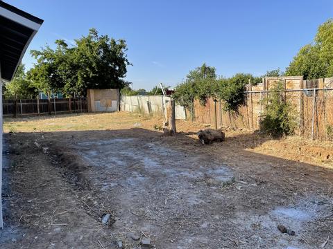 19878 Guthrie Ct, Strathmore, CA 93267 photo 16