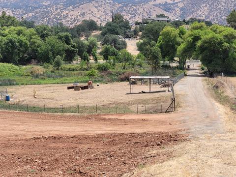 33193 Globe Dr, Springville, CA 93265 photo 6