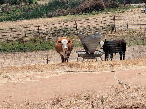 33193 Globe Dr, Springville, CA 93265 photo 7